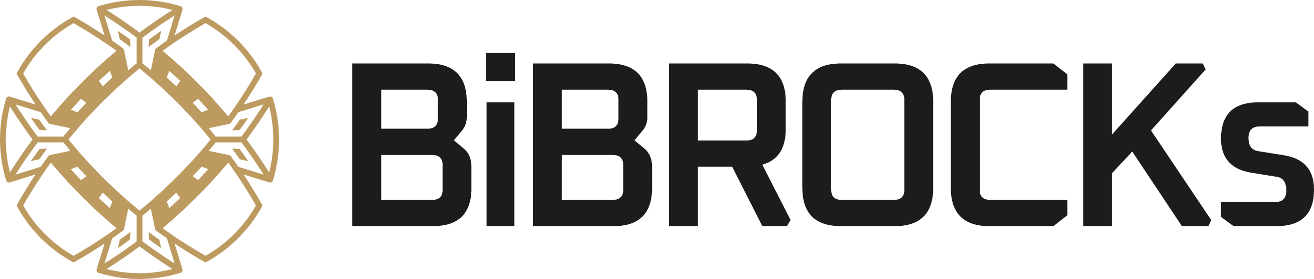 BiBROCKs Logo